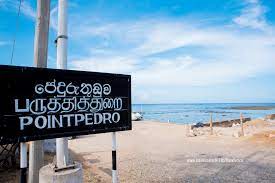 Delf Island